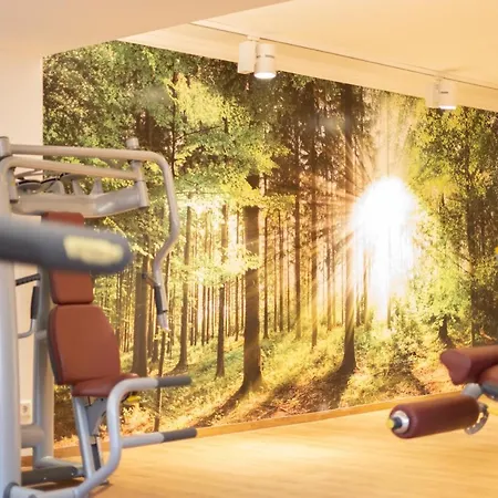 Hotel Thermenhotel Apollo 4*