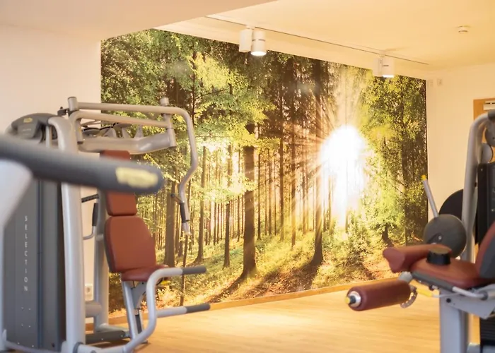 מלון Thermenhotel Apollo 4*